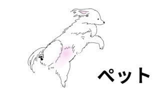 ペット